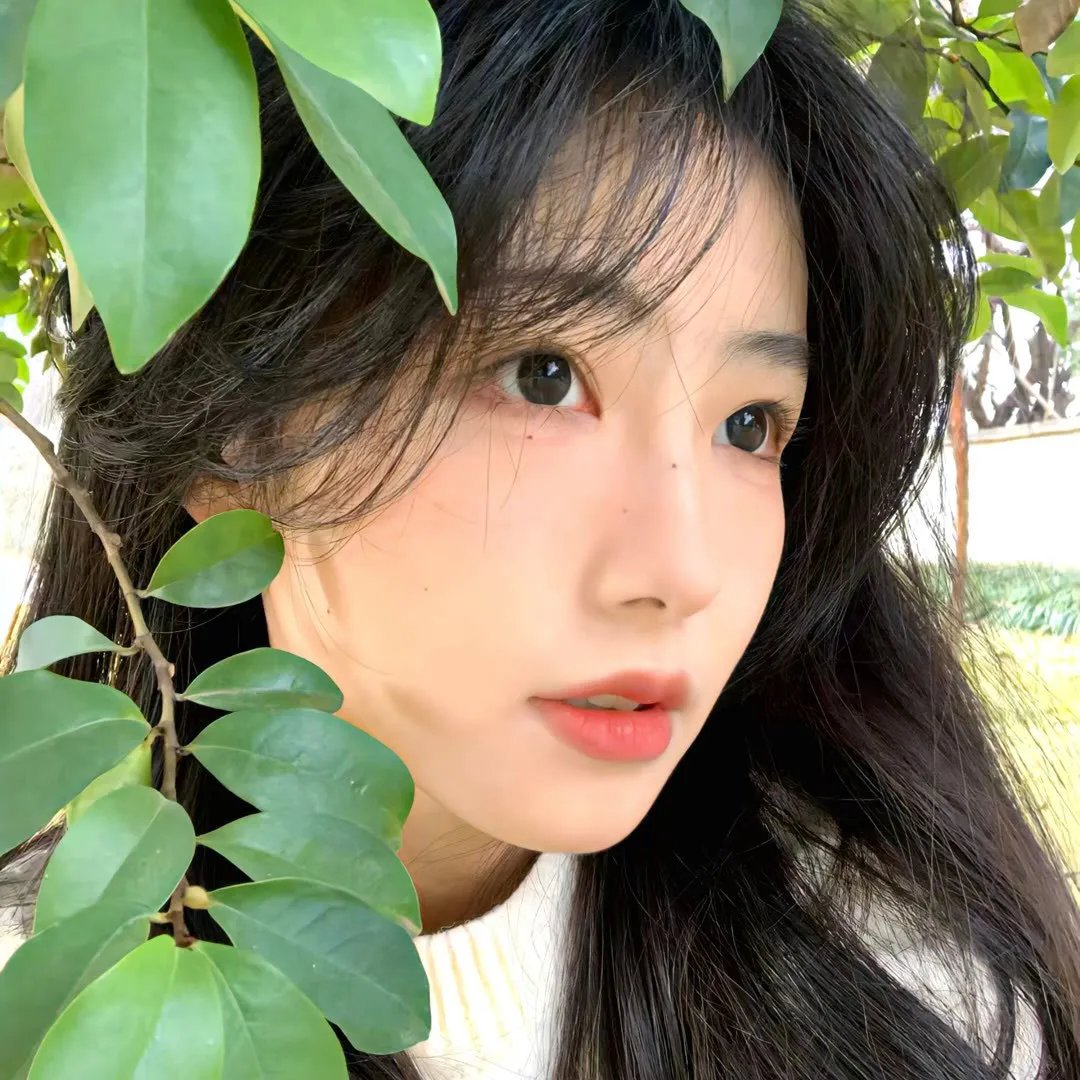 天才雀妈